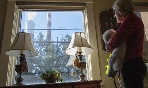 Woman 和 her dog look out the window at emissions from an industrial plant.